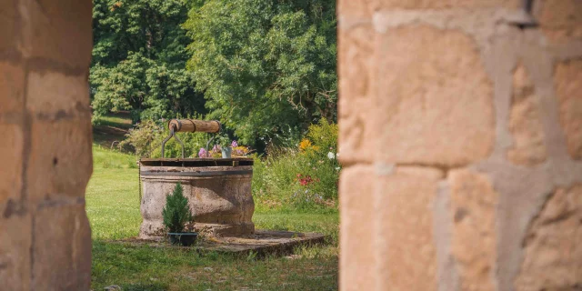 Puit du château de Bougey dans une nature florissante - Vesoul - Val de Saône