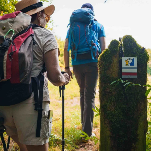 Des pèlerins randonnent sur le sentier de la Via Francigena - Vesoul - Val de Saône