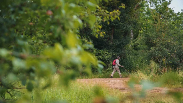 Un randonneur au détour d'un chemin. Il porte un sac de randonnée rouge et des bâtons - Vesoul - Val de Saône