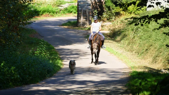 Une cavalière se promène avec son cheval et son chien sur les chemins des 1000 Etangs - Vosges du Sud, Haute-Saône