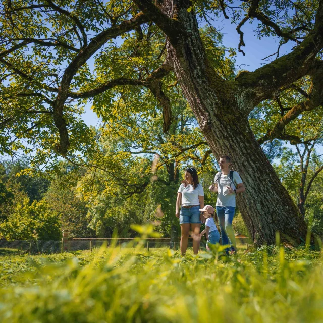 Une famille se promène dans le Domaine du Parc aux Daims - Vesoul - Val de Saône