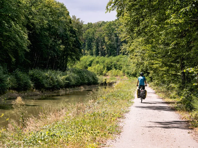 Un cycliste pédale sur La Voie Bleue, le long de la Saône - Vesoul-Val de Saône