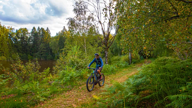 Un VTTiste arpente les forêts des 1000 Etangs - Vosges du Sud