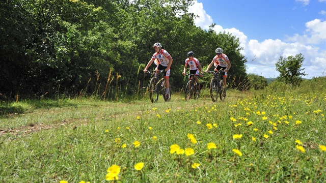 Un groupe de VTTistes arpente les Monts de Gy au milieu d'un champ fleuri, en bord de forêt - Vallée de l'Ognon