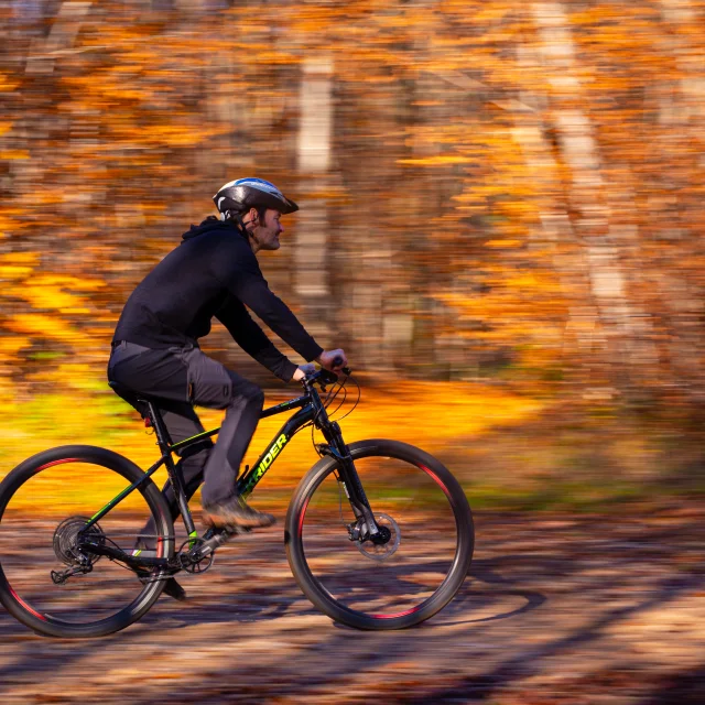 Un VTTiste explore la forêt en automne - Vosges du Sud