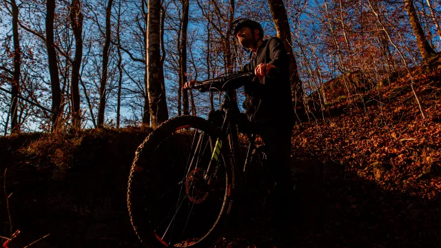 Un VTTiste arpente les forêts des Vosges du Sud