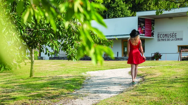 Une femme avec une robe rouge se promène dans les cerisiers devant l'écomusée du Pays de la Cerise - Fougerolles - Vosges du Sud