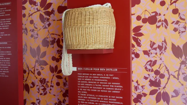 Panier pour cueillir des cerises de Fougerolles pour faire du Kirsch de Fougerolles - Vosges du Sud