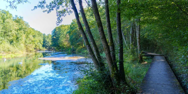 Résurgence de la Reigne avec des couleurs mystérieuses en pleine forêt - Vosges du Sud