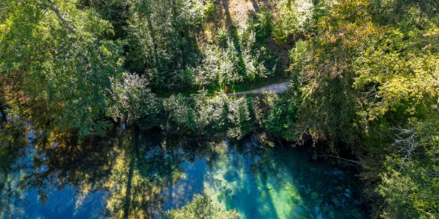 Résurgence de la Reigne avec des couleurs mystérieuses en pleine forêt - Vosges du Sud