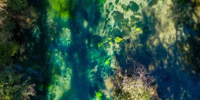 Résurgence de la Reigne avec des couleurs mystérieuses en pleine forêt - Vosges du Sud