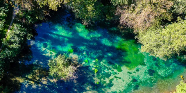 Résurgence de la Reigne avec des couleurs mystérieuses en pleine forêt - Vosges du Sud