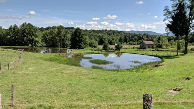 Vue d'ensemble sur des prairies, un étang, la forêt et en arrière-plan, les Ballons des Vosges - Plateau des 1000 Etangs, Vosges du Sud