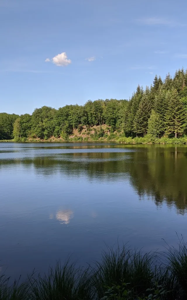 Vue panoramique sur l'étang du Grand Rosbeck à Melisey, ayant des airs de petite Finlande - Plateau des 1000 Etangs, Vosges du Sud