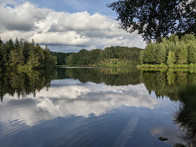 Vue panoramique sur l'étang du Grand Rosbeck à Melisey, ayant des airs de petite Finlande - Plateau des 1000 Etangs, Vosges du Sud