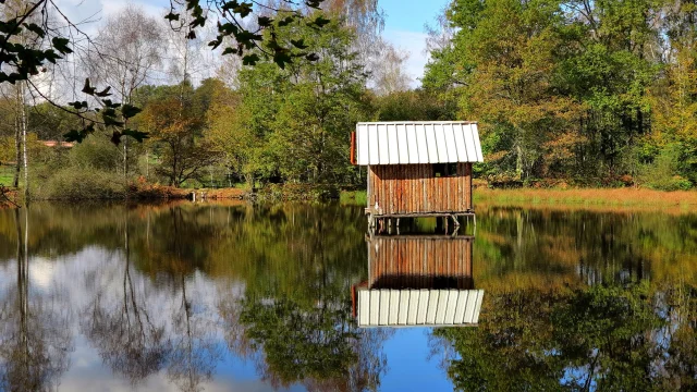 Une cabane sur pilotis trône au milieu d'un étang à Ecromagny - Plateau des 1000 Etangs, Vosges du Sud