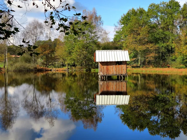 Une cabane sur pilotis trône au milieu d'un étang à Ecromagny - Plateau des 1000 Etangs, Vosges du Sud