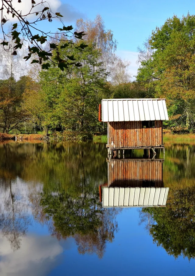 Une cabane sur pilotis trône au milieu d'un étang à Ecromagny - Plateau des 1000 Etangs, Vosges du Sud