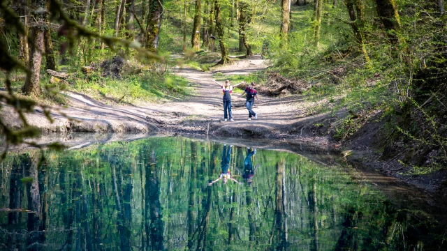 Des enfants observent la mystérieuse source du Planey - Vosges du Sud