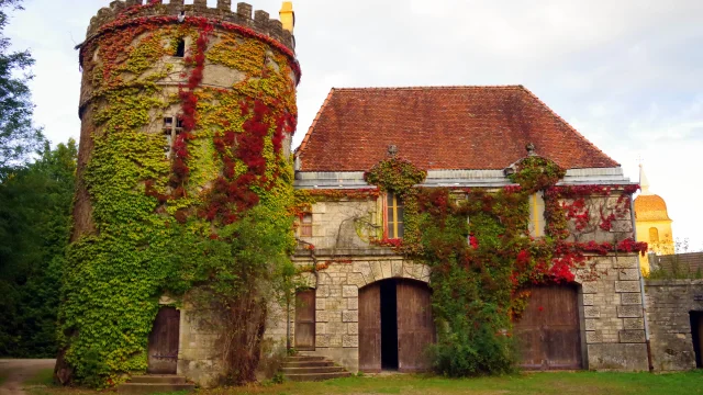 La tour crénelée, adossée à une dépendance, recouverte de végétation aux couleurs d’automne. Elle représente l’unique vestige du château médiéval de Villersexel – Vallée de l’Ognon