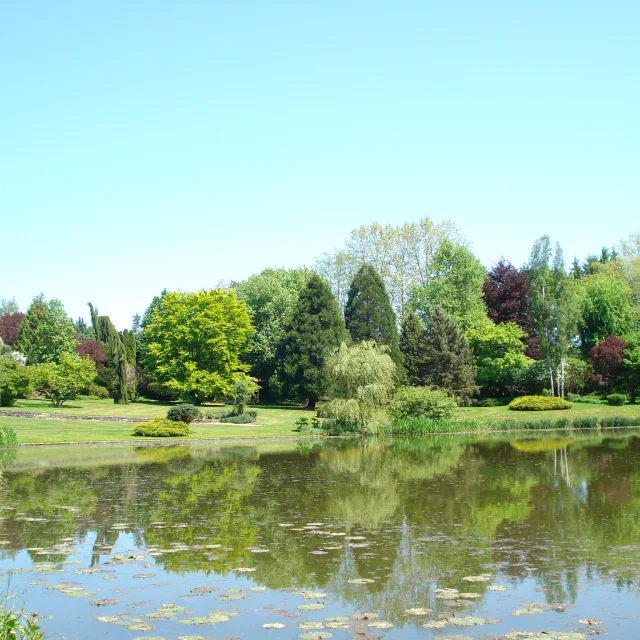 Vue sur l'étange et la végétation du Parc de l'Etang à Battrans - Vesoul-Val de Saône