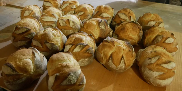 Journée du pain au Fort du Mont Vaudois, évènements qui se tient au mois de mai et lors duquel du pain est cuit dans les fours d'origine du Fort -Héricourt, Vosges du Sud