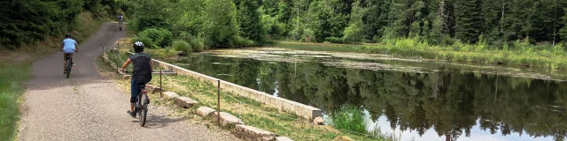 Des touristes se baladent en VAE autour d'un étang vers Faucogney-et-la-Mer - Plateau des 1000 Etangs, Vosges du Sud