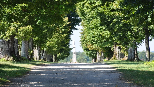 Le chemin bordé d'arbres, menant à une statue de la Vierge, et provenant de la Chapelle Sainte-Anne à Vellefaux - Vallée de l'Ognon