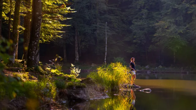 Une randonneuse se tient au bord de l'étang des Belles Filles - La Planche des Belles Filles - Vosges du Sud