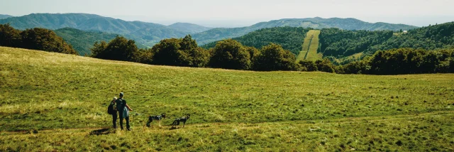 Un couple de randonneurs au Ballon d'Alsace - Vosges du Sud