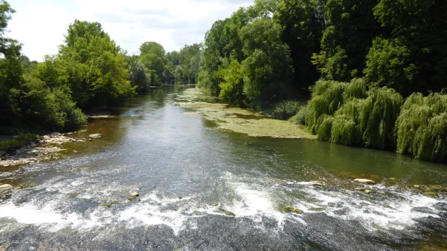 Vue sur la rivière Ognon entourée d'arbres - Vallée de l'Ognon