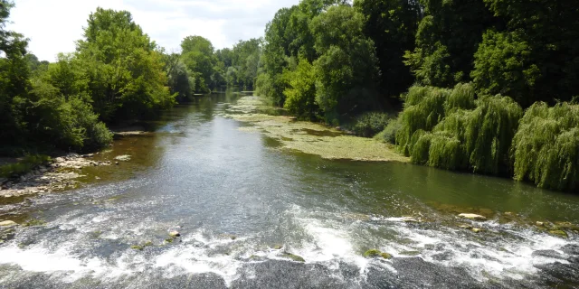 Vue sur la rivière Ognon entourée d'arbres - Vallée de l'Ognon