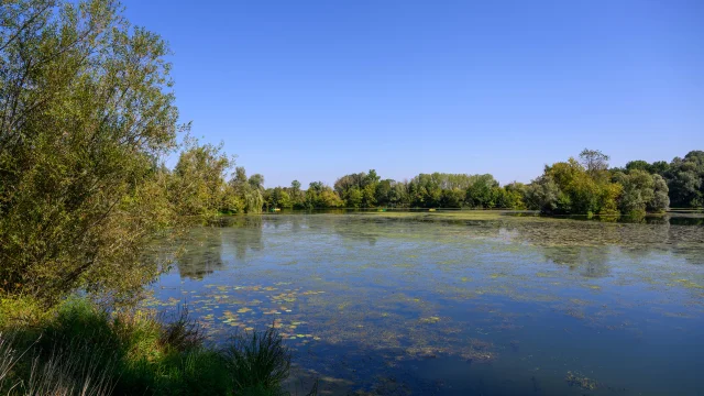 3 canoës avancent en arrière-plan sur la rivière Ognon sous un beau soleil - Vallée de l'Ognon